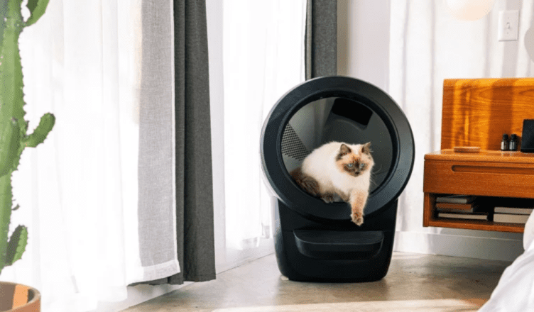 are robot cat litter boxes worth it?