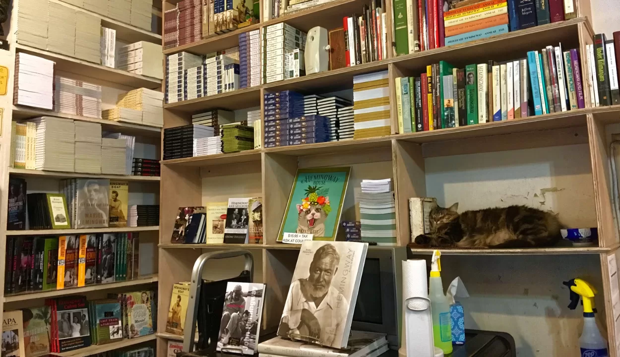 Ernest Hemingway home - a great destination for cat lovers